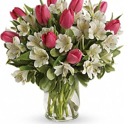  

<hr />

 

<hr />

<div id="mark-2" class="m-pdp-tabs-marketing-description">Spring is the season for romance! Brimming with exquisite tulips and alstroemeria, this bouquet in a classic glass hurricane celebrates the beauty of the season.</div>
 
<div id="desc-2">
<ul>
 	<li>Includes pink tulips, white alstroemeria and variegated pittosporum.</li>
</ul>
</div>