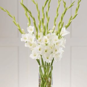 The FTD® at Peace™ Bouquet