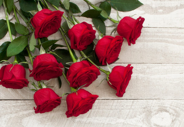 Valentine's Special Dozen Roses
