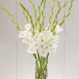 The FTD® at Peace™ Bouquet