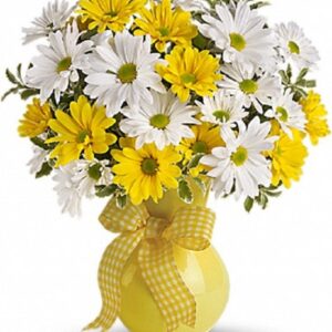 Upsy Daisy