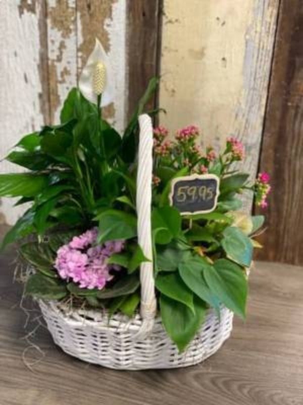 A Hint of Pink Basket Planter