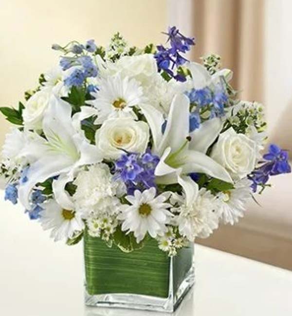 Healing Hope-Blue & White