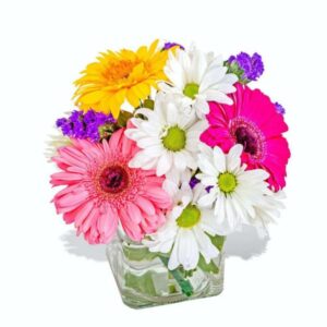 A Dash Of Color