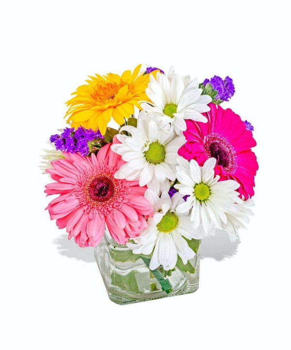 A Dash Of Color