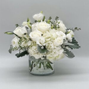 White Dreams