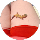 Ashlynn Frosch profile picture