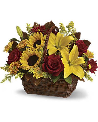 <div id="mark-3" class="m-pdp-tabs-marketing-description">Send warm autumn sunshine to a special friend or relative with this golden gift basket of flowers. Yellow lilies and sunflowers make everyone smile!</div>
<p> </p>
<div id="desc-3">
<ul>
<li>A dark, handled basket presents bright fall bouquet of yellow asiatic lilies, yellow sunflowers, gold cushion mums, burgundy daisies, yellow solidaster, brown copper beech leaves and rich green salal.</li>
</ul>
</div>