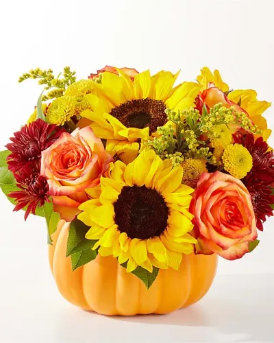 <p>No need to go to the pumpkin patch this year with this gorgeous arrangement of seasonal stems, artfully arranged in a pumpkin vase to deliver some happiness.</p>