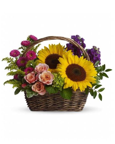 Send this colorful gift basket of flowers to your favorite garden lover or flower-loving grandmother. Like a miniature summer garden, the fresh cut flowers will brighten her kitchen counter, bedside table, coffee table...any of her favorite places!
Large yellow sunflowers, peach roses, purple stock, miniature green hydrangea, and hot pink matsumoto asters are presented in a rectangular handled basket.
Greens include solidago, huckleberry and variegated pittosporum.