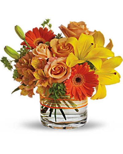 Send a sunny siesta someone's way with this chic summer bouquet! Warm shades of orange and yellow are presented in a modern low cylinder vase for a stylish arrangement that suits anyone, any time.
Yellow asiatic lilies, light orange roses and an orange gerbera daisy are blended with Peruvian lilies (also known as alstroemeria) in a clear cylinder vase wrapped with sheer organza ribbon.
Fresh bupleurum adds a bright burst of green.