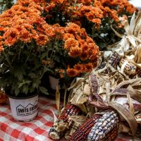 Send Fall Flowers